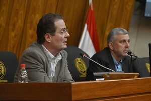 Itaipú: piden amplia difusión del nuevo informe de Miguel Carter - Nacionales - ABC Color