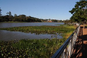 Se estima que el Lago de la República perdió alrededor del 40% de agua - La Clave