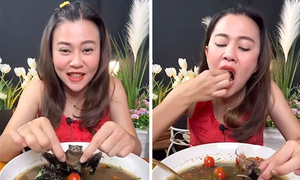 Influencer tailandesa se enfrenta a cinco años de cárcel por filmarse comiendo murciélagos - OviedoPress