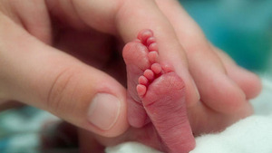 Fundación Tesãi celebra el Día Mundial del Niño Prematuro | DIARIO PRIMERA PLANA