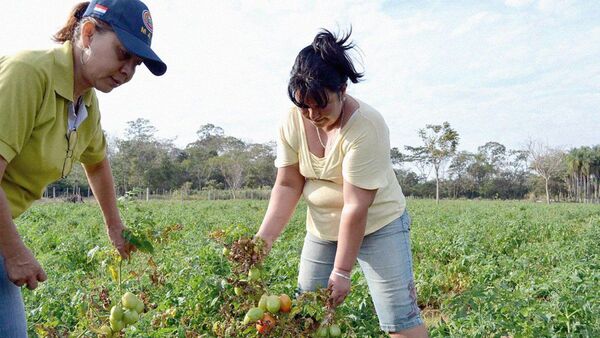 Agricultoras, guardianas de semillas y sostén de sus familias