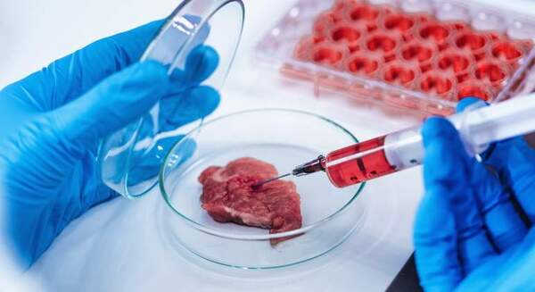 Diario HOY | FDA autoriza a una startup californiana para comercializar carne artificial