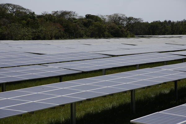Entra en operación uno de los mayores parques solares de Brasil, de 766 MW - MarketData