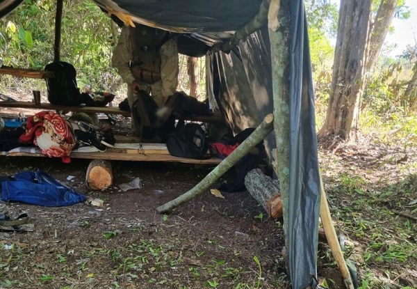 CULTIVOS DE MARIHUANA Y CAMPAMENTOS PRECARIOS DESTRUIDOS POR LA SENAD EN ESTRELLA - La Voz del Norte