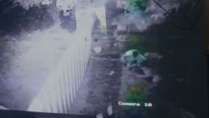 Video: Así atacaron los perros al presunto delincuente