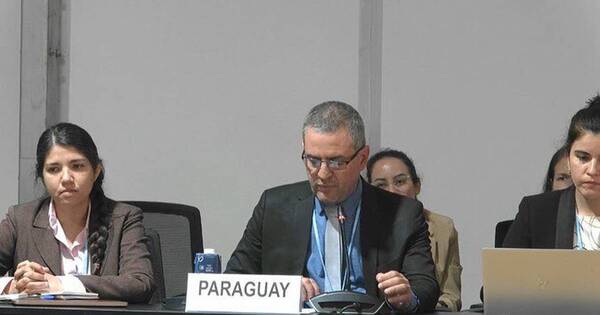 La Nación / Paraguay presentó resumen del Tercer Informe Bienal de Actualización en la COP27