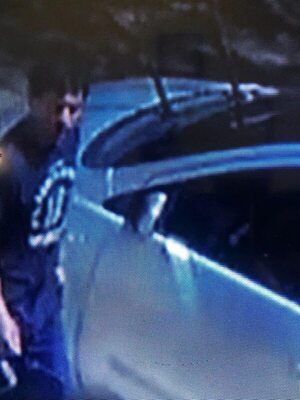 Video: tortolero y cuidacoches “Tule”, sospechosos de hacer equipo para robar en Asunción - Policiales - ABC Color