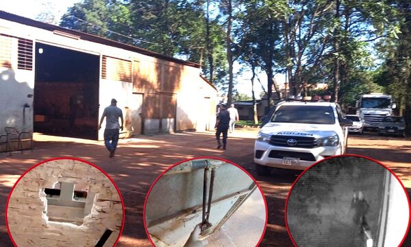 Desvalijan un depósito, pero el guardia de seguridad no vio nada – Diario TNPRESS