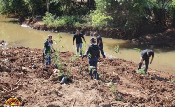 Reforestan bosque que protege al arroyo Amambay