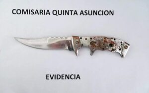 Un incorregible adolescente cae de nuevo por homicidio en la Chacarita - Policiales - ABC Color