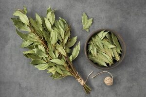 Hoja de laurel: para qué sirve - Gastronomía - ABC Color