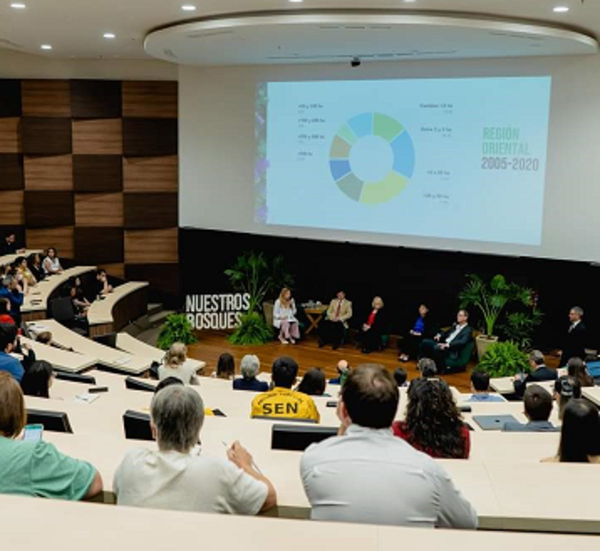 Paraguay inició la construcción de su Plan Nacional de Restauración Forestal - .::Agencia IP::.