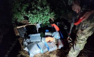 Hallan unos 100 kilos de marihuana a orillas del Lago Itaipu