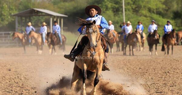 La Nación / Chaco paraguayo es escenario de la competencia de doma y lazo de las ganaderas Sofía y Chajhá