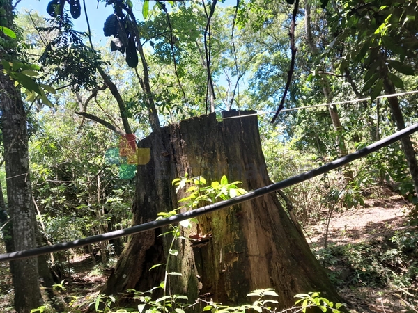 Adolescente muere electrocutado mientras trabajaba con su padre