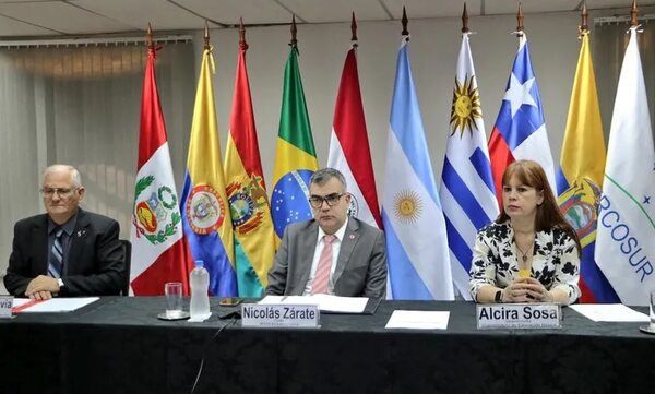 Transformación Educativa: MEC insiste en concretar plan, durante reunión de ministros del Mercosur - Nacionales - ABC Color