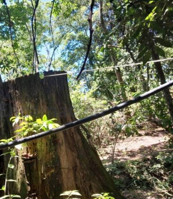Crónica / Adolescente muere electrocutado mientras trabajaba