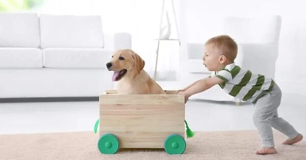 Cómo enseñar a los niños a cuidar de las mascotas - Mascotas - ABC Color