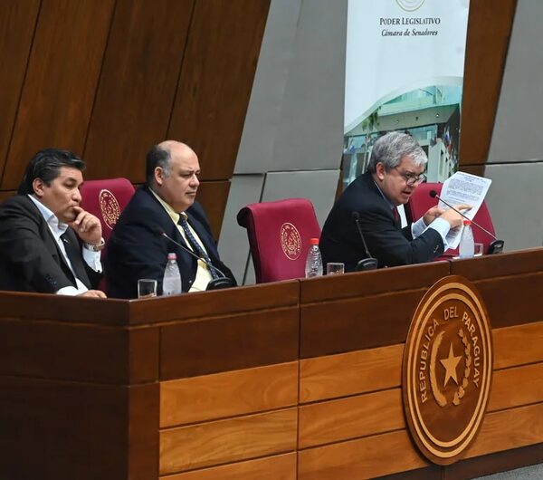 Exigen derogar financiamiento de la Unión Europea (UE) al sistema educativo, durante audiencia pública - Nacionales - ABC Color