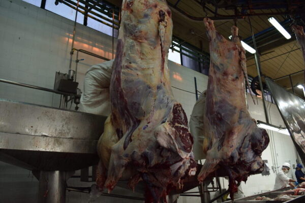 Taiwán representa el 11% de las exportaciones totales de carne vacuna paraguaya