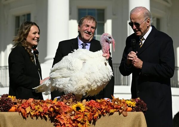 “Chocolate” y “Chip”, los indultados por el presidente Biden que se salvan del horno - Mundo - ABC Color