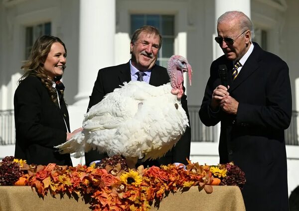 “Chocolate” y “Chip”, los  indultados por el presidente Biden que se salvan del horno - Mundo - ABC Color