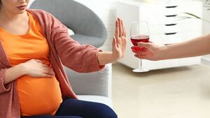 Beber durante el embarazo produce cambios en el cerebro del bebé