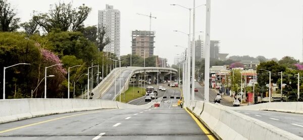 MOPC usó 1,6 hectáreas de Botánico y no realizó obras de compensación hasta ahora, denuncian - Nacionales - ABC Color