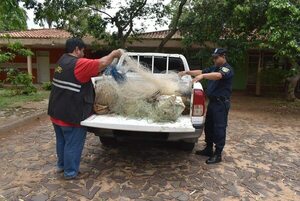 Continúa requisa de elementos de pesca en temporada de veda en Ayolas - Nacionales - ABC Color