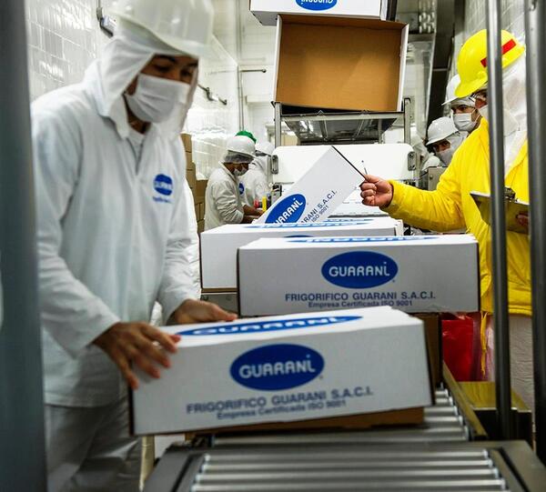 Frigorífico Guaraní revalida certificación de calidad por sexto año consecutivo | 1000 Noticias