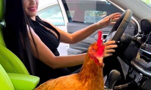 (VIDEO)Laurys paseó a su gallina en su lujoso vehículo