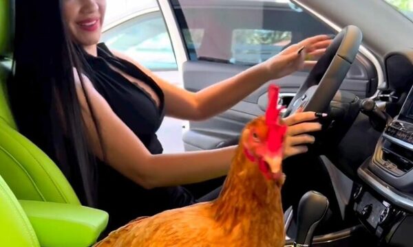 (VIDEO)Laurys paseó a su gallina en su lujoso vehículo