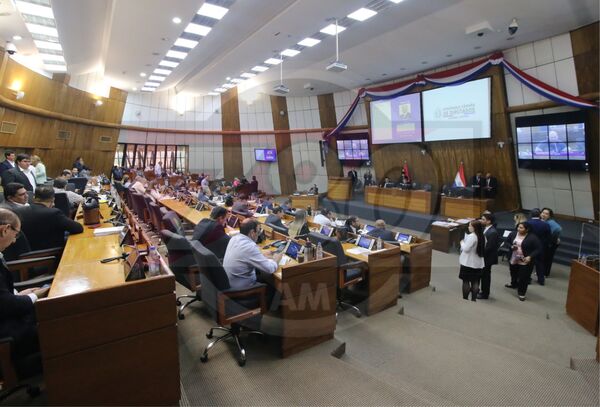 Diputados aprueban la intervención de la Municipalidad de San Pedro del Ycuamandyyú - Megacadena — Últimas Noticias de Paraguay