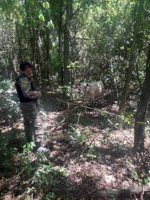 ¿RETORNO EL UPP? ASALTANTES SE PRESENTARON COMO MIEMBROS DEL GRUPO CRIMINAL