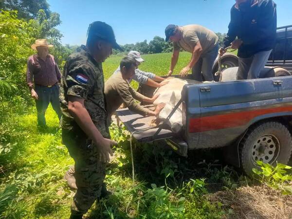 Crónica / Miembros del UPP ndaje asaltaron una estancia y se llevaron una vaquilla