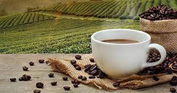 La Nación / Realizarán muestra de la gastronomía colombiana “Café con sentido”