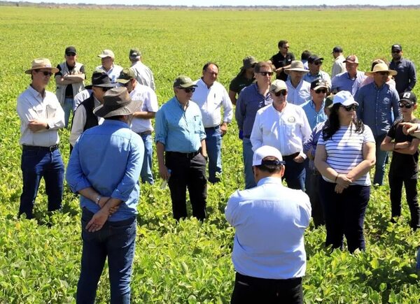 Arroceros alertan de un proyecto antiproductivo - Nacionales - ABC Color