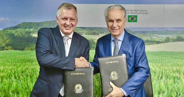 La Nación / Ministro del Brasil resalta cooperación con Paraguay