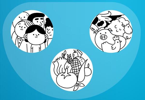¿Qué es la resistencia a los antimicrobianos? | Lambaré Informativo