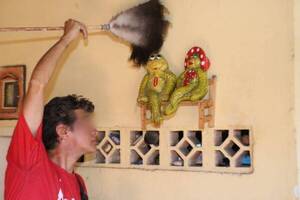 Crónica / Creencias en los barrios: las ranas y sapos que protegen a toda Cambala