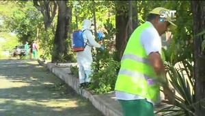 Barrio Obrero: Limpieza en la Avda. 12 Proyectadas - SNT