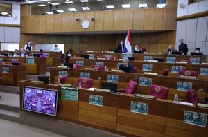 Dictámenes contrapuestos en el Senado sobre intención del oficialismo de endeudar al IPS - ADN Digital