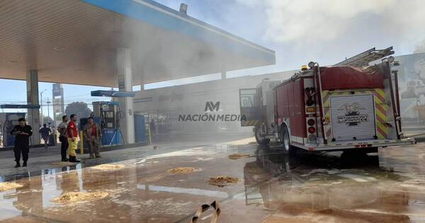 La Nación / Incendio de gran magnitud estuvo cerca de alcanzar una estación de servicio en el Este