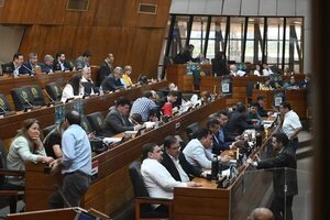 ¿Diputados y Senadores a perpetuidad? - Política - ABC Color