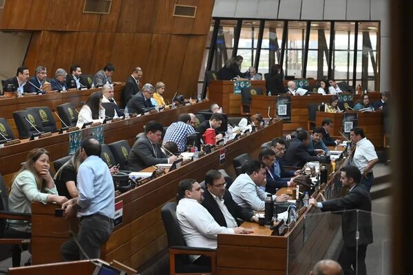 ¿Diputados y Senadores a perpetuidad? - Política - ABC Color