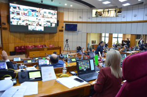 Senadores aprueban ley que permitirá al IPS pagar deudas - Megacadena — Últimas Noticias de Paraguay
