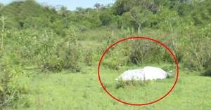 Crónica / Gracias al olor nauseabundo pillaron que había un cadáver tirado en el yuyal