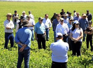 Productores fustigan proyecto que busca proteger humedales - Nacionales - ABC Color