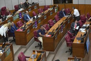 Cartistas y tres opositores habilitan manoteo a fondos jubilatorios del IPS - Política - ABC Color