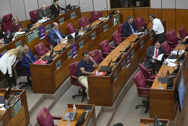 Cartistas y tres opositores habilitan manoteo a fondos jubilatorios del IPS - Política - ABC Color